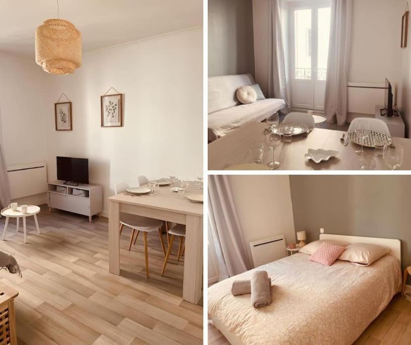 Le Coin Cosy L Balcon Apartment Castres  Ngoại thất bức ảnh